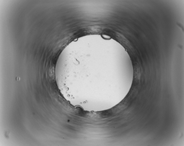 X0000102300425200808152022