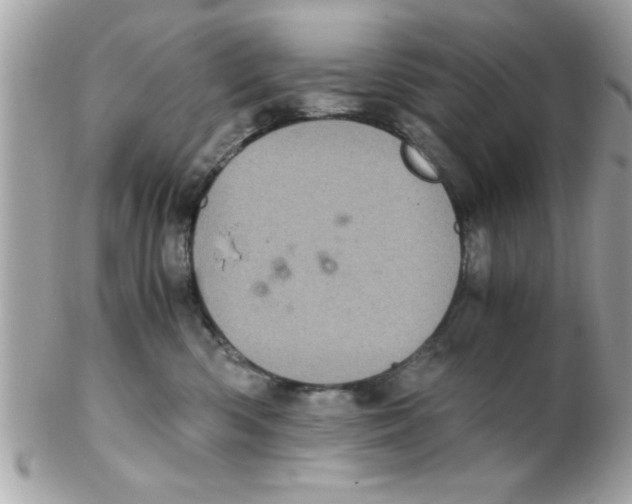 X0000102300426200808152022