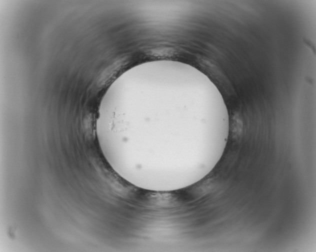 X0000102300428200808152022