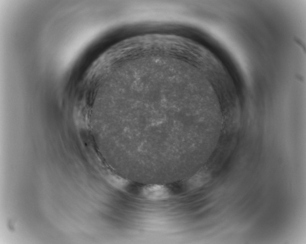 X0000102300431200808152022