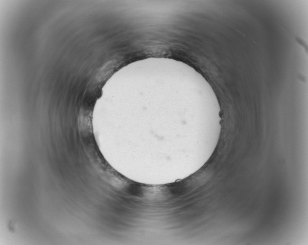X0000102300432200808152022