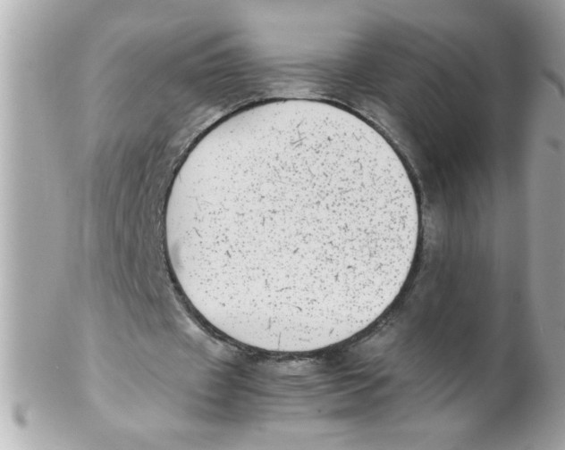 X0000102300433200808152021
