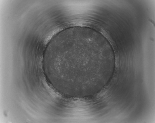 X0000102300434200808152021