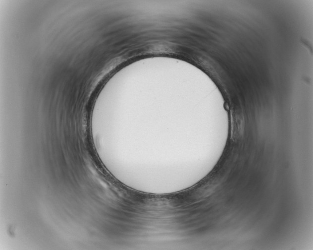 X0000102300435200808152021