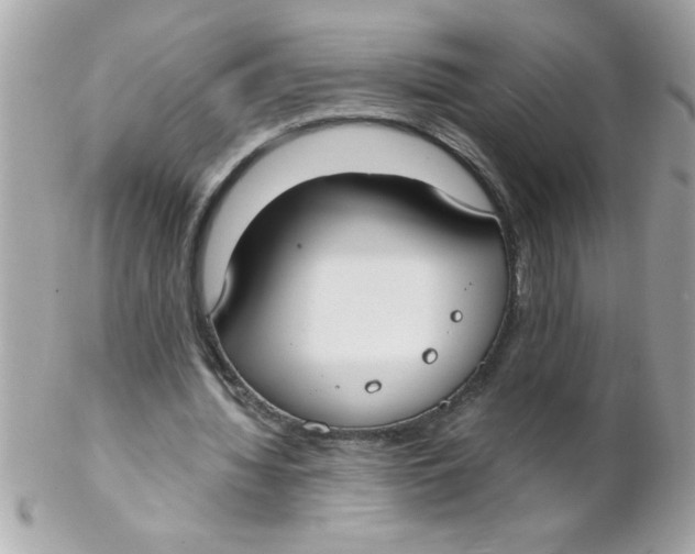 X0000102300436200808152021