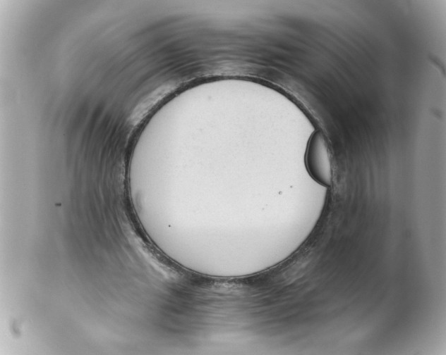 X0000102300437200808152021
