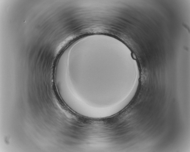 X0000102300438200808152021