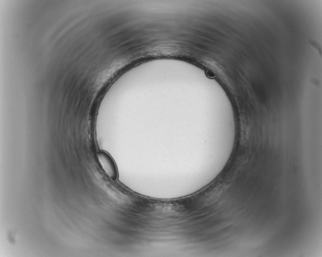 X0000102300439200808152021