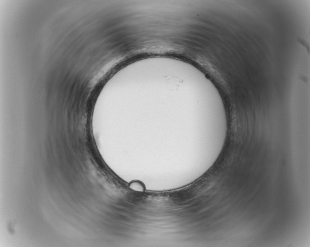 X0000102300440200808152021