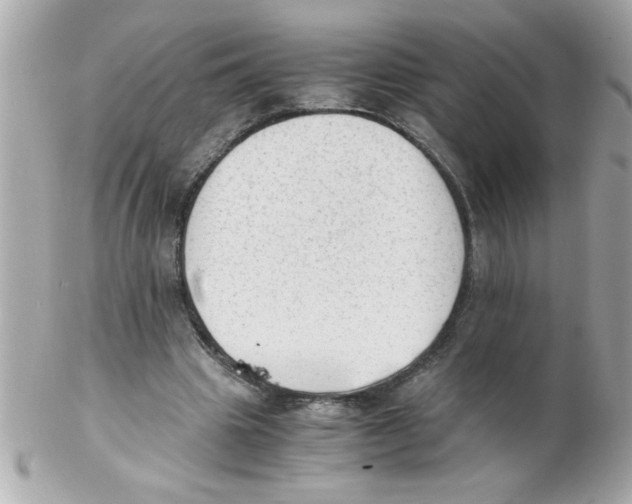X0000102300441200808152021