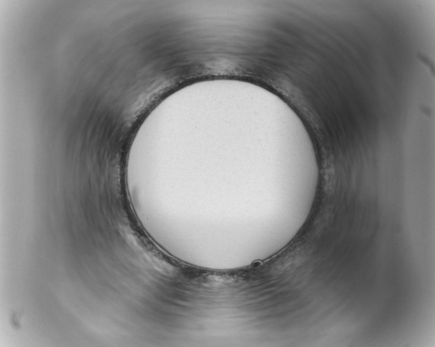 X0000102300442200808152021