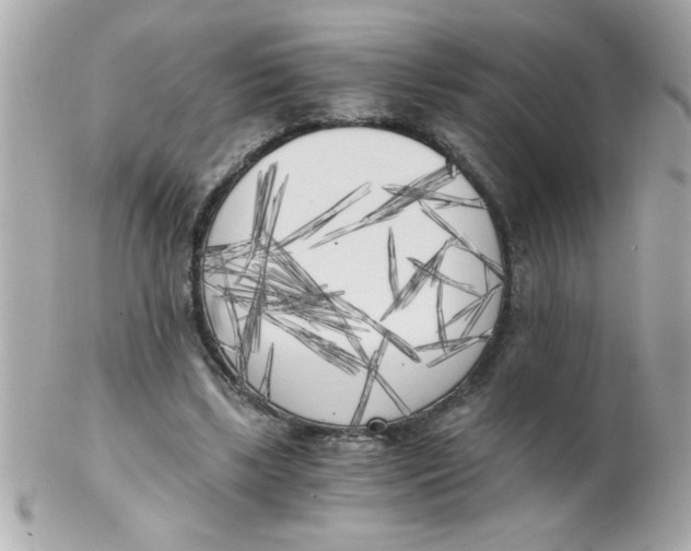 X0000102300443200808152021