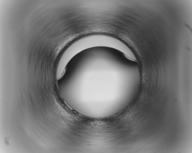 X0000102300444200808152021