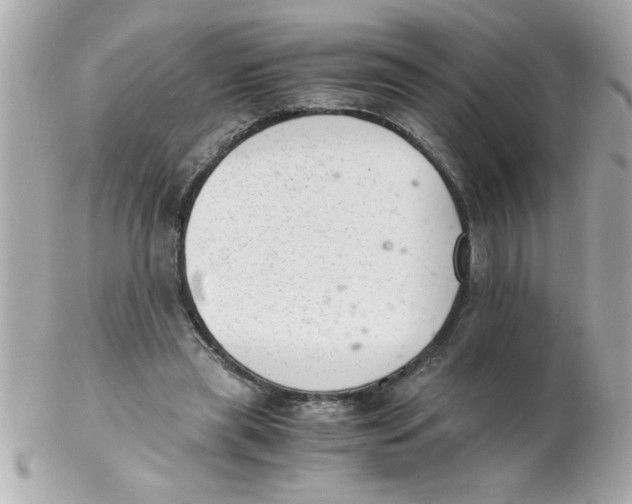 X0000102300445200808152021