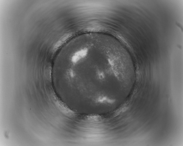 X0000102300446200808152021
