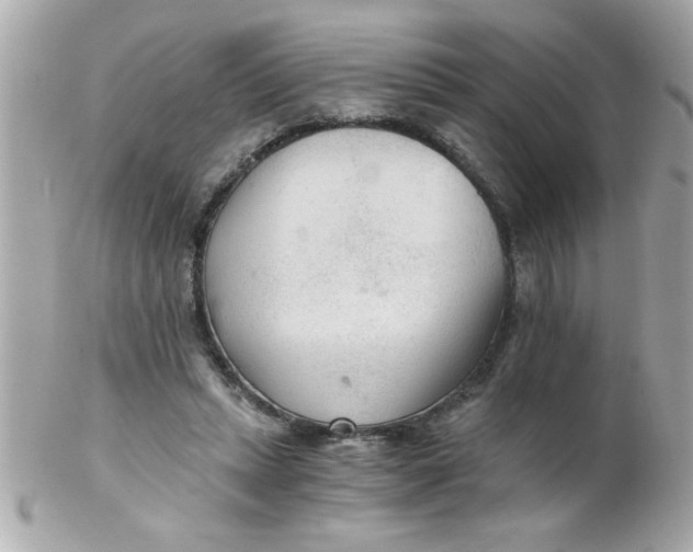 X0000102300447200808152021