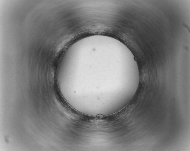X0000102300448200808152021