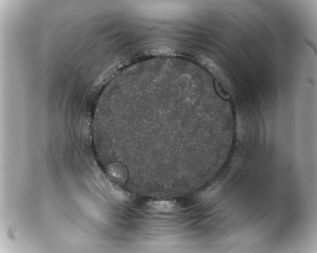 X0000102300449200808152021