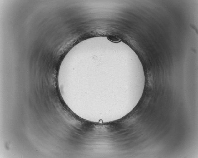 X0000102300450200808152021