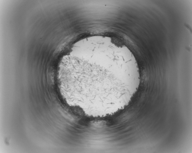 X0000102300452200808152021