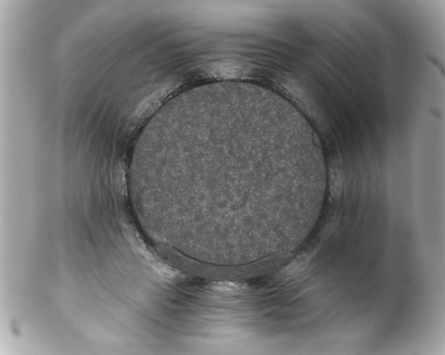X0000102300453200808152022