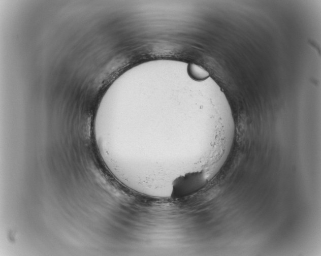 X0000102300454200808152022
