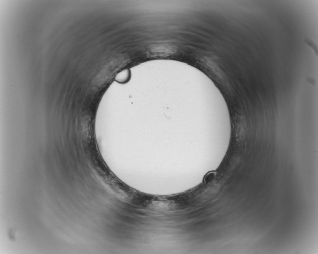 X0000102300455200808152022