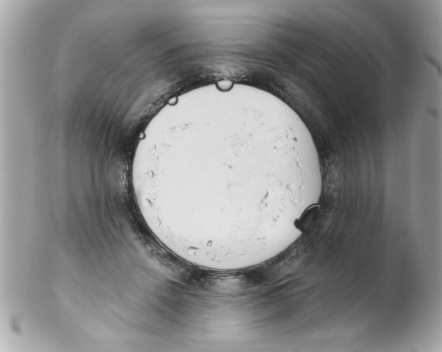 X0000102300456200808152022