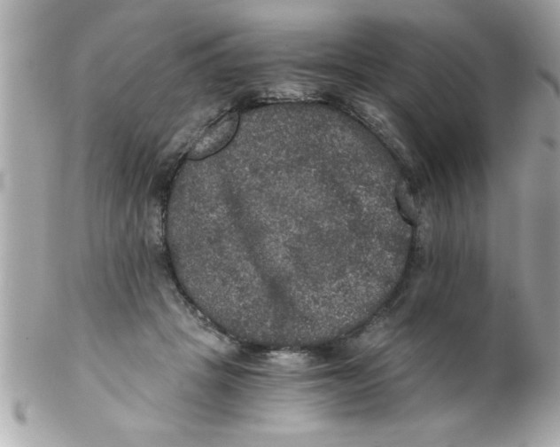 X0000102300457200808152022