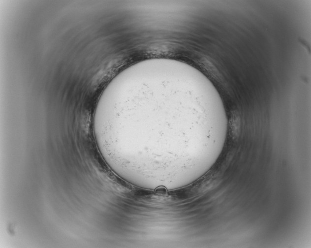 X0000102300458200808152022