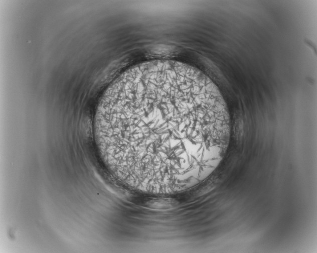 X0000102300459200808152022
