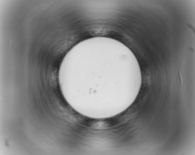 X0000102300460200808152022