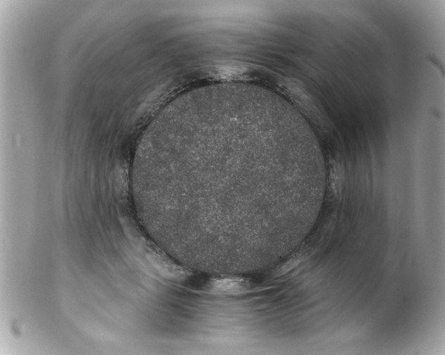 X0000102300461200808152022