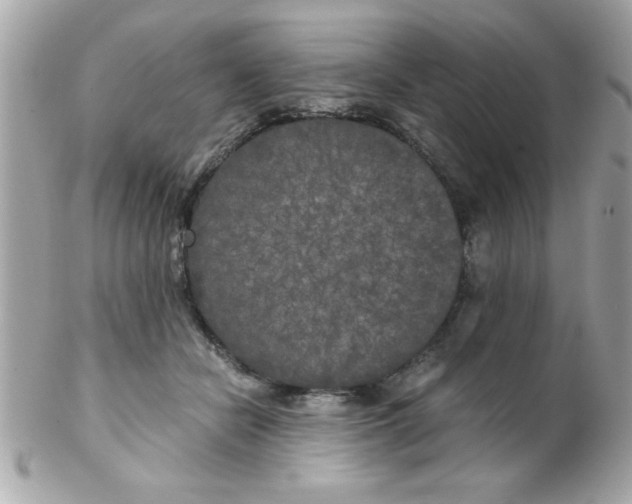X0000102300462200808152022