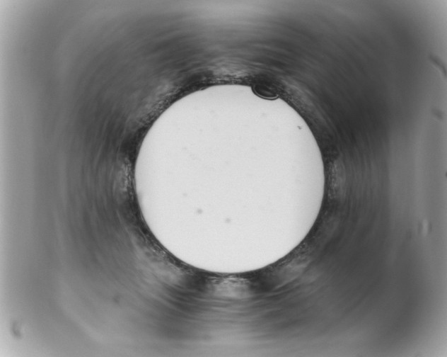 X0000102300463200808152022