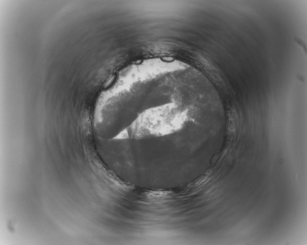X0000102300465200808152022