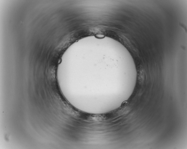 X0000102300466200808152022