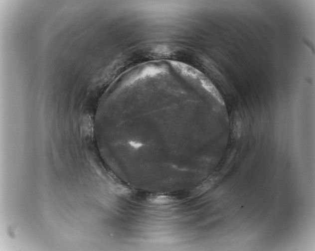 X0000102300467200808152022