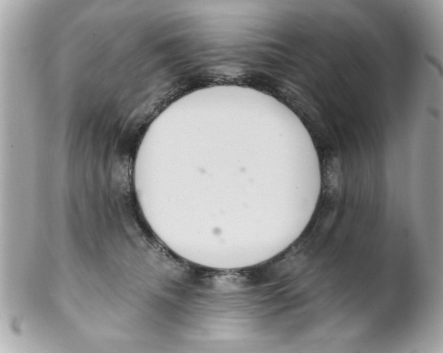 X0000102300468200808152022