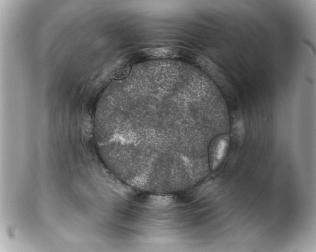 X0000102300469200808152022