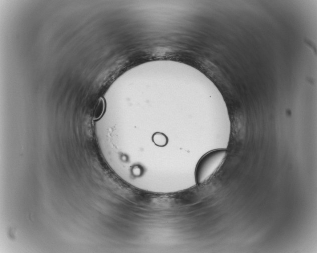 X0000102300470200808152022