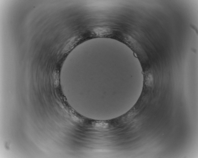 X0000102300471200808152022