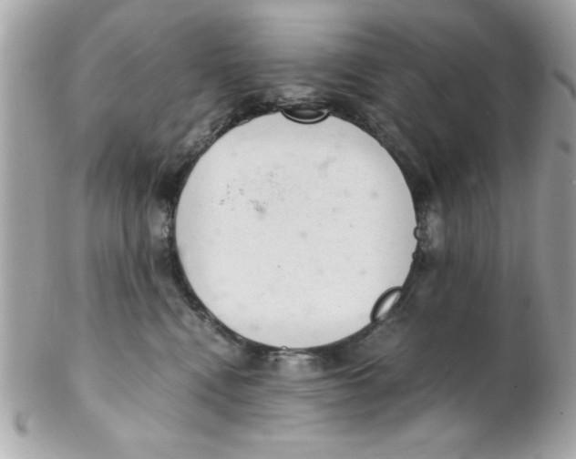 X0000102300472200808152022