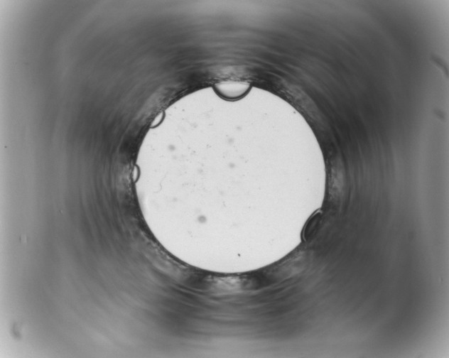 X0000102300473200808152022