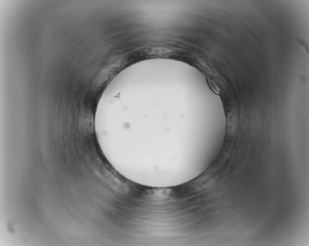 X0000102300474200808152022