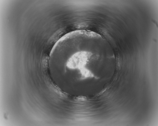 X0000102300475200808152022
