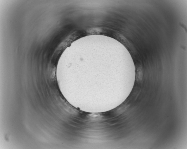 X0000102300477200808152022