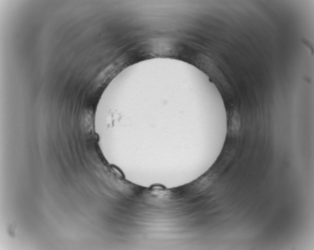 X0000102300478200808152022