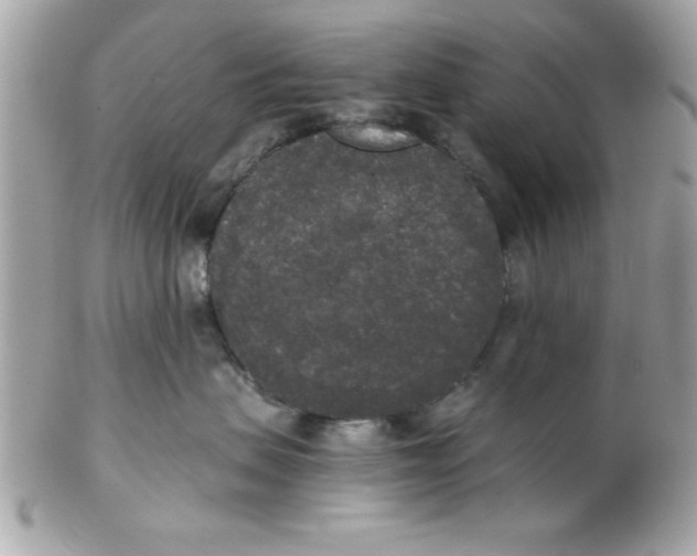 X0000102300479200808152022