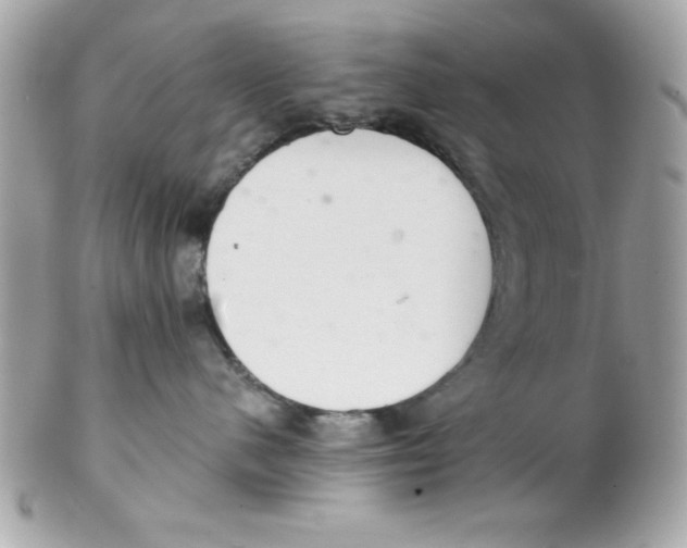 X0000102300480200808152022